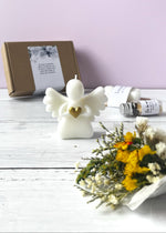 perdida, muerte, condolencias