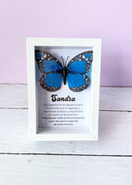 Alas de Transformación - vuela alto