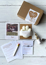 ritual despedida mascota